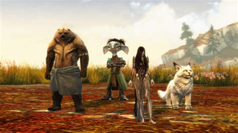 gw2 news|gw2 patchnotes today.